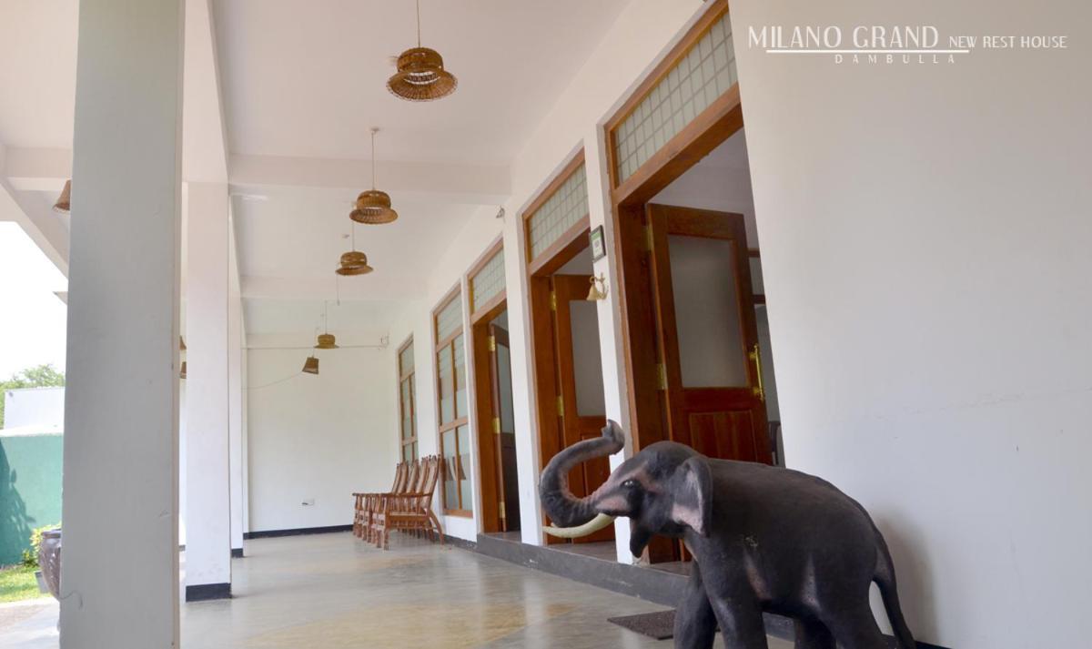 Milano Grand Hotel Dambulla Eksteriør billede
